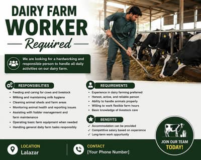 Dairy Farm Workers Required