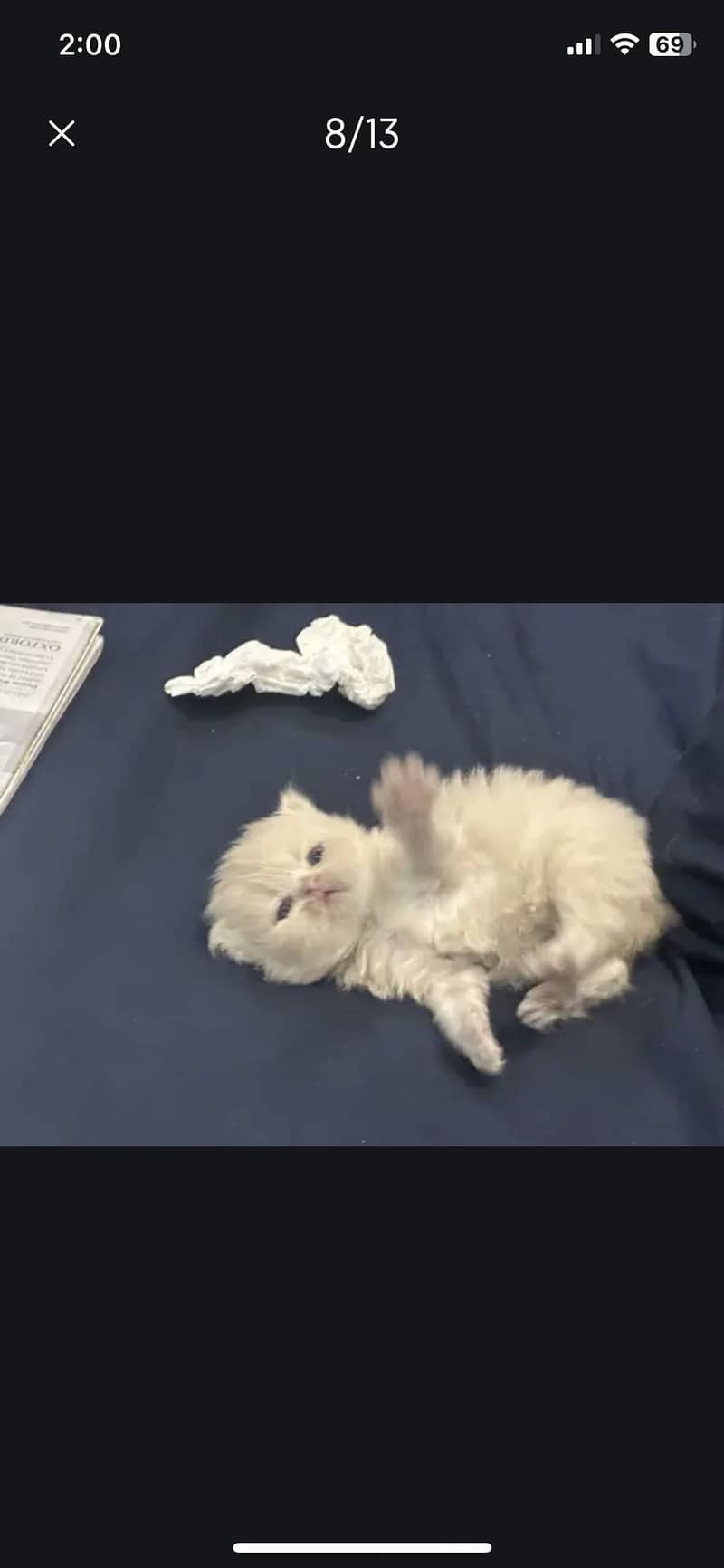 Punch face cat 6