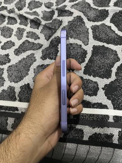 Iphone 12 mini factory
