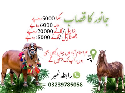 اسلام آباد میں جانوروں کے قصاب کی خدمات - عید الاضحیٰ