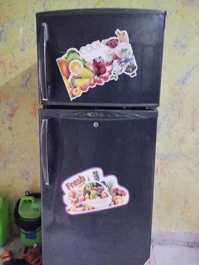 Fridge 13 cubic