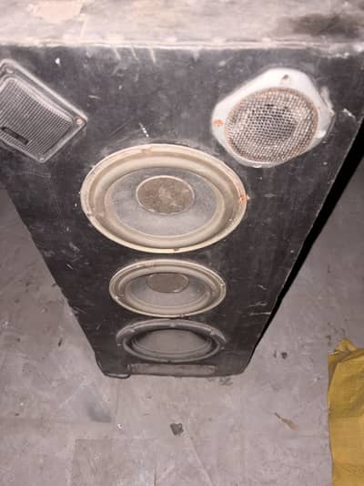Dual Channel Speakers with Box