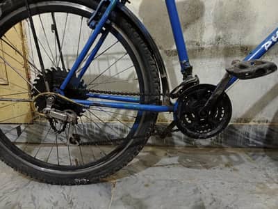 Used Phoenix Bicycle