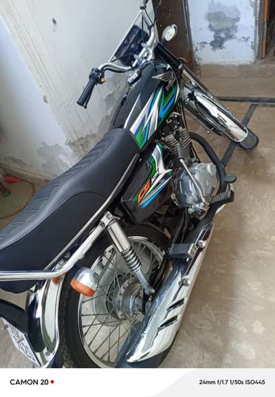 pakka 2023 look like a brand new 