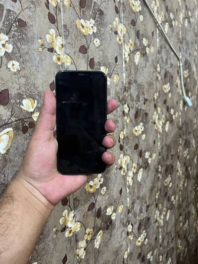 Iphone 12 pro Dual PTA Approved 256 GB