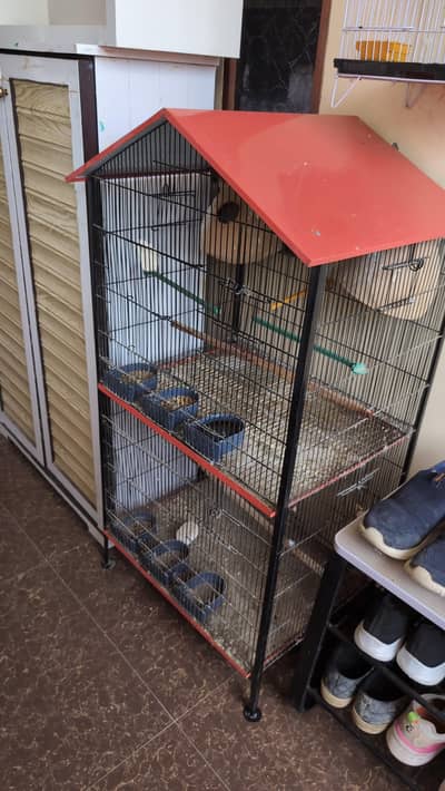 lover bird with cage