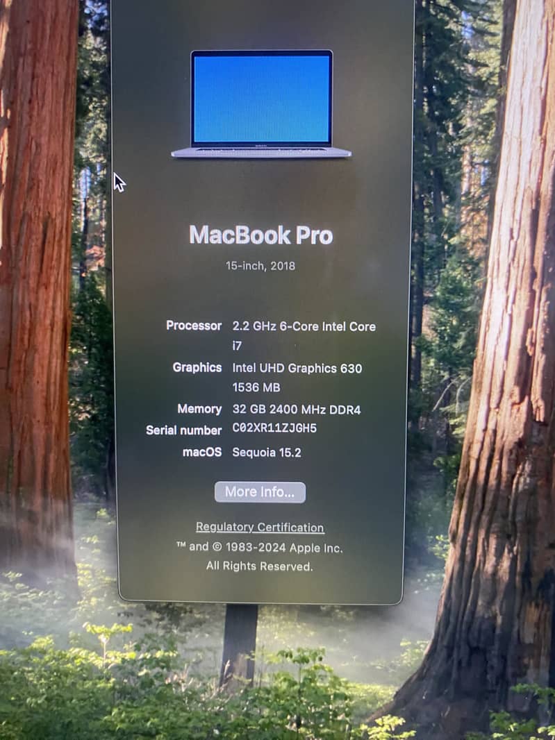 MacBook pro 18 model 2