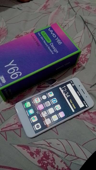 vivo66