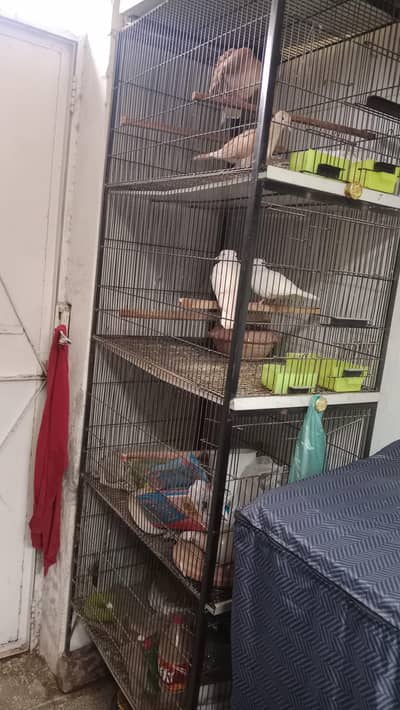 4 portions cage excellent condition