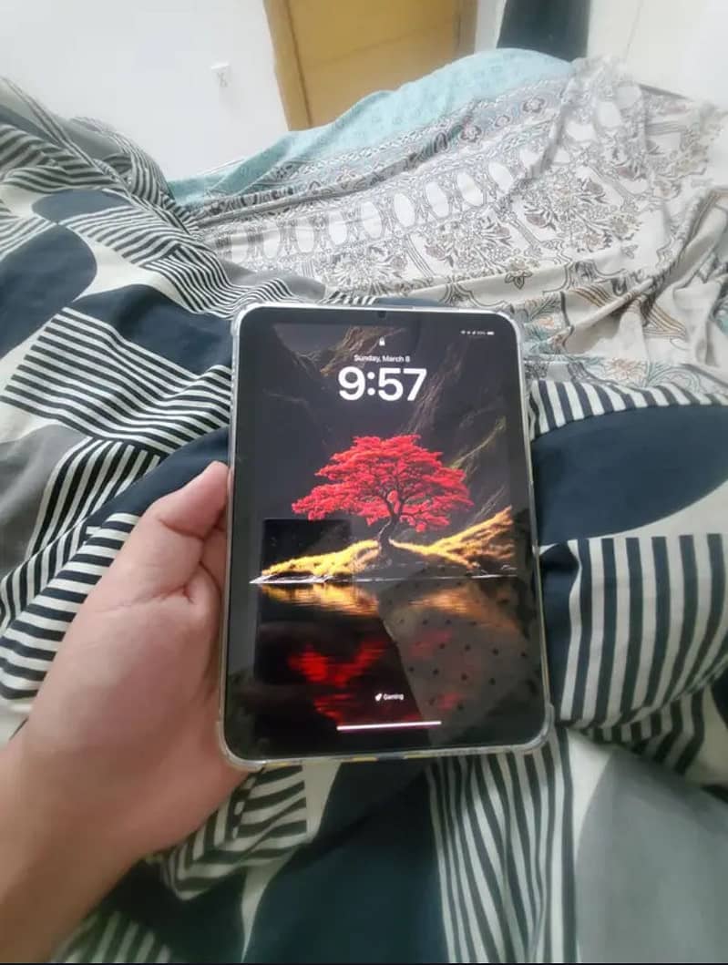 iPad mini 6 exchange possible 3