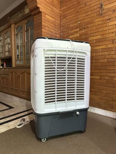 Beetro Y-90C