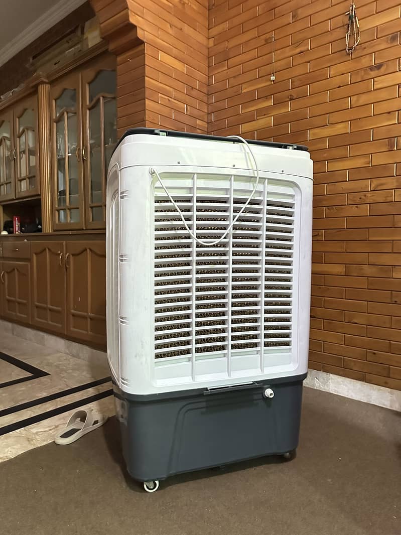 Beetro Y-90C 0