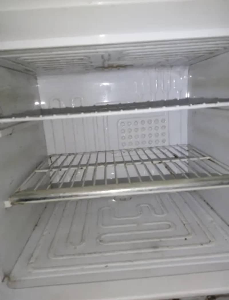 Waves Refrigerator 2