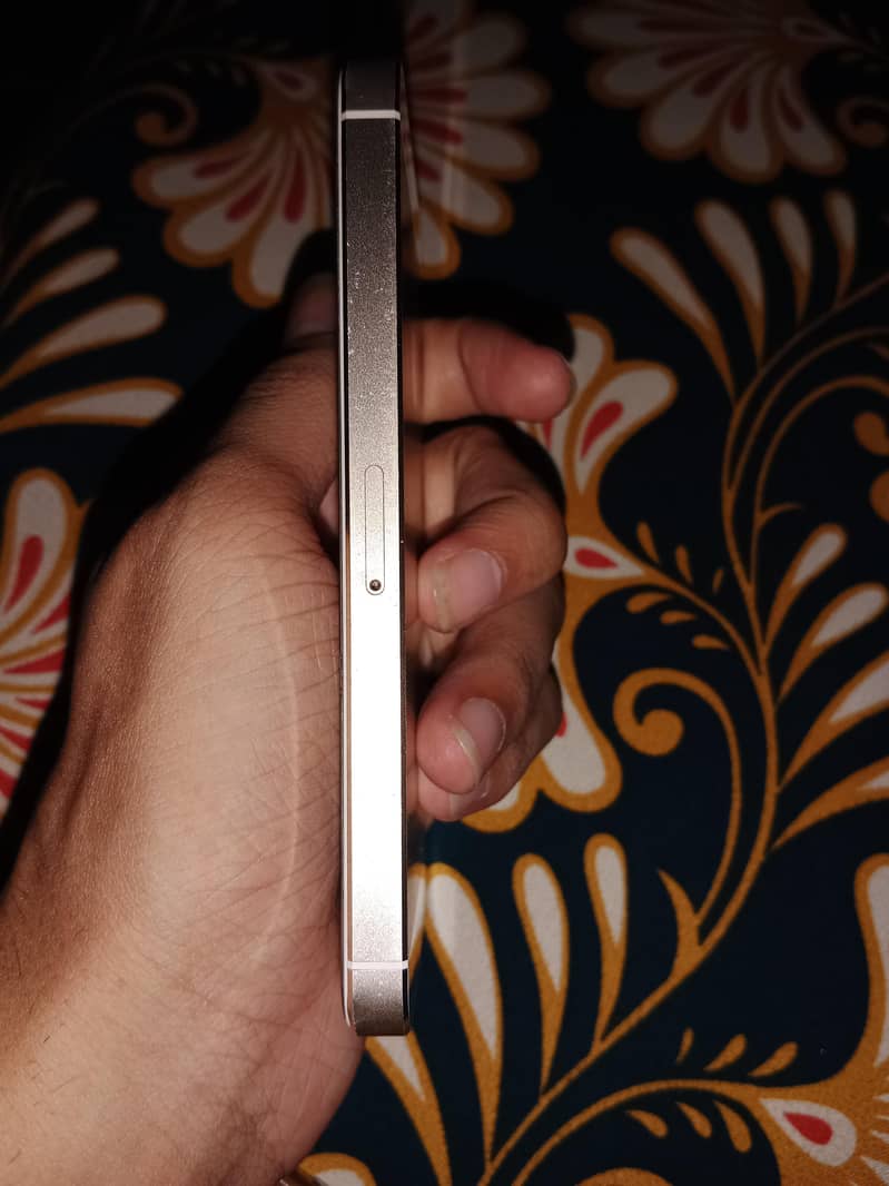 Apple iPhone 5s 1
