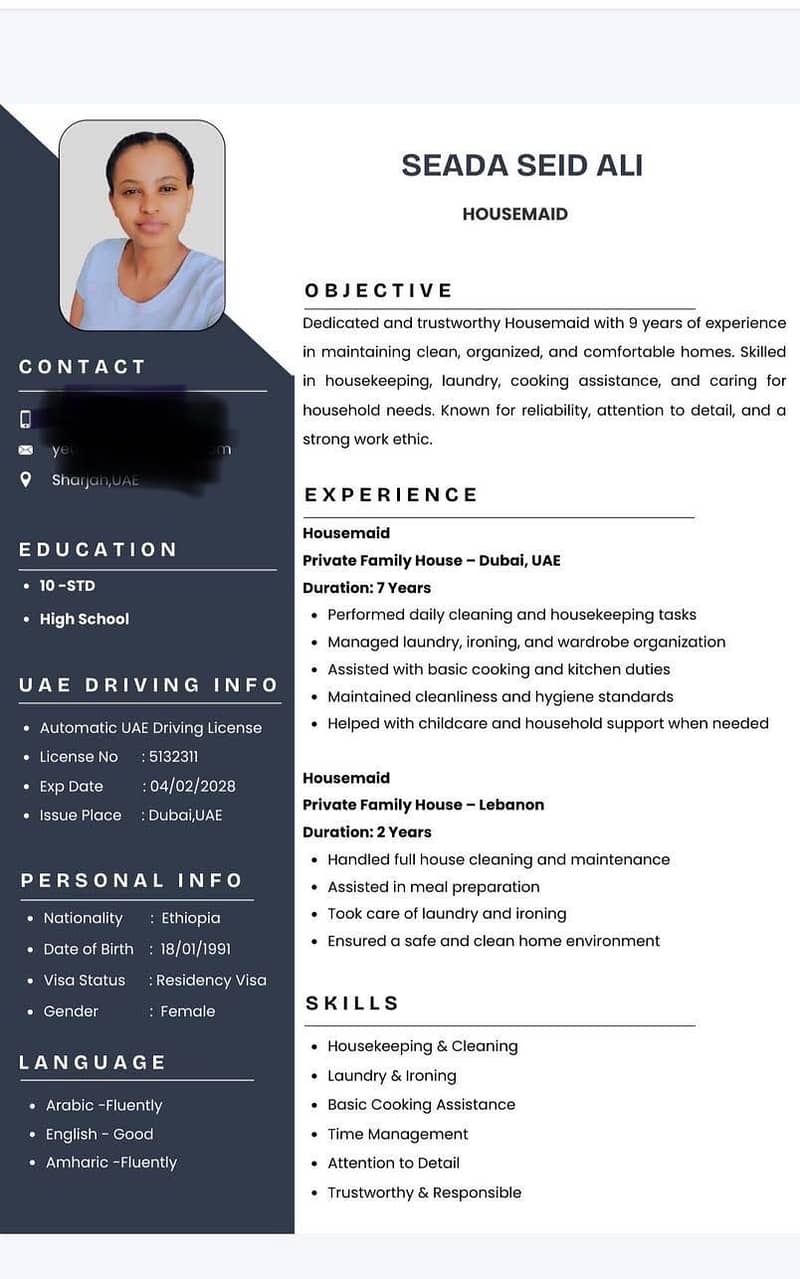 Professional Cv Expert 0