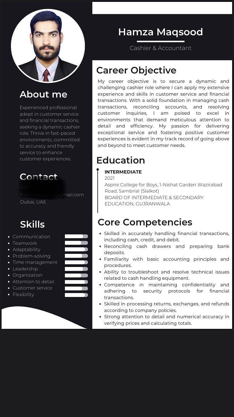 Professional Cv Expert 1