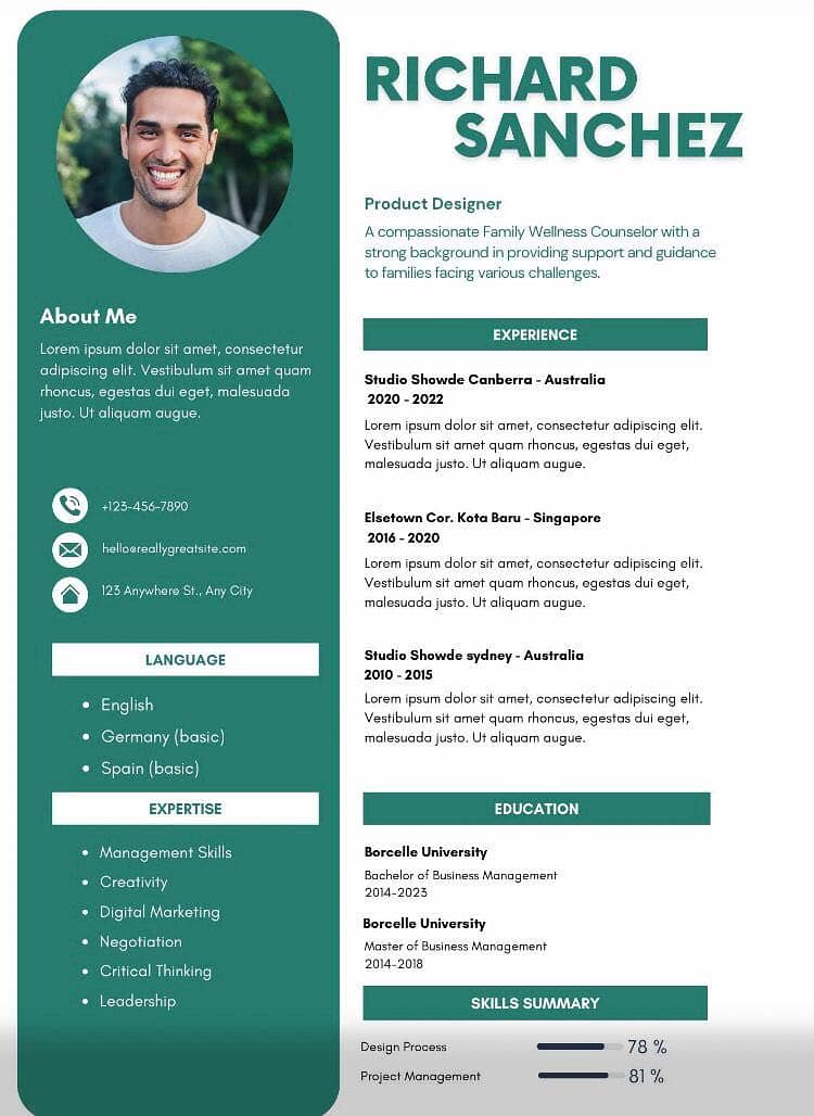 Professional Cv Expert 2