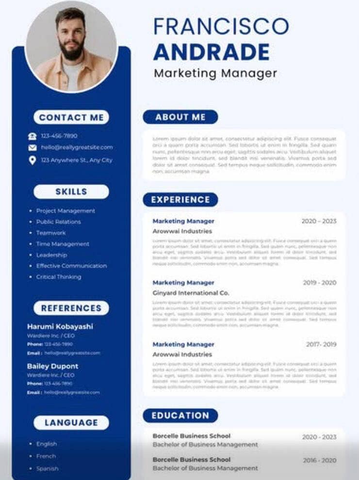 Professional Cv Expert 3
