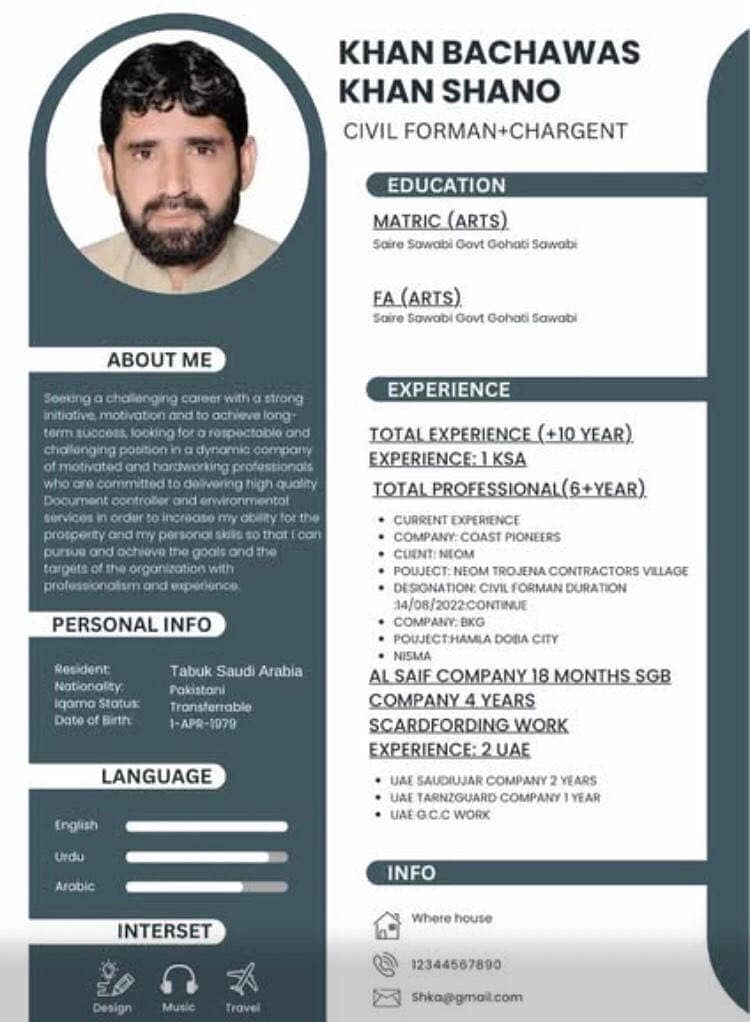 Professional Cv Expert 4