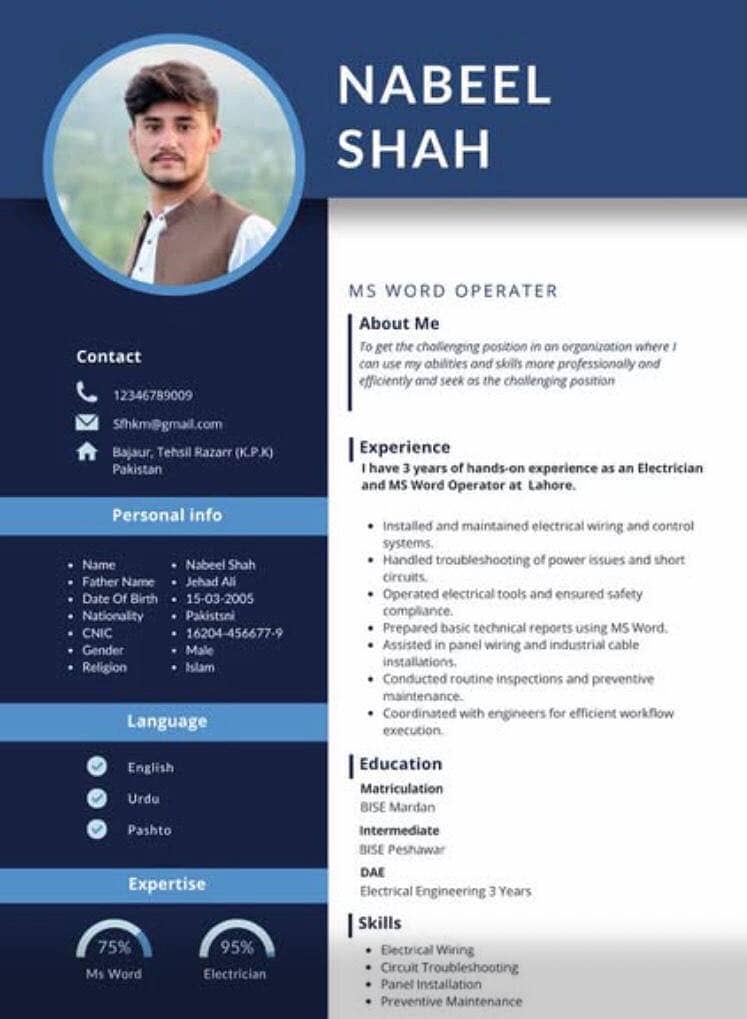 Professional Cv Expert 5