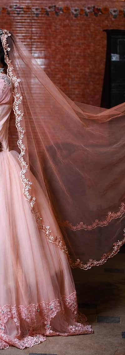 Elegant Baby Pink Bridal Frock | Heavy Embroidered Party Wear Gown