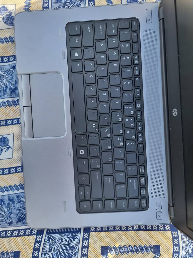 hp pro 12