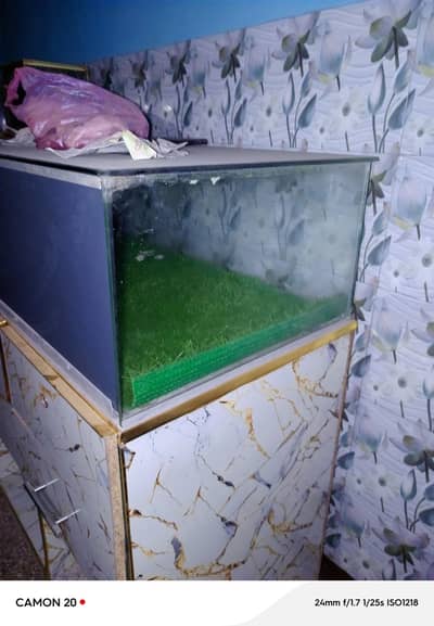 Display counter