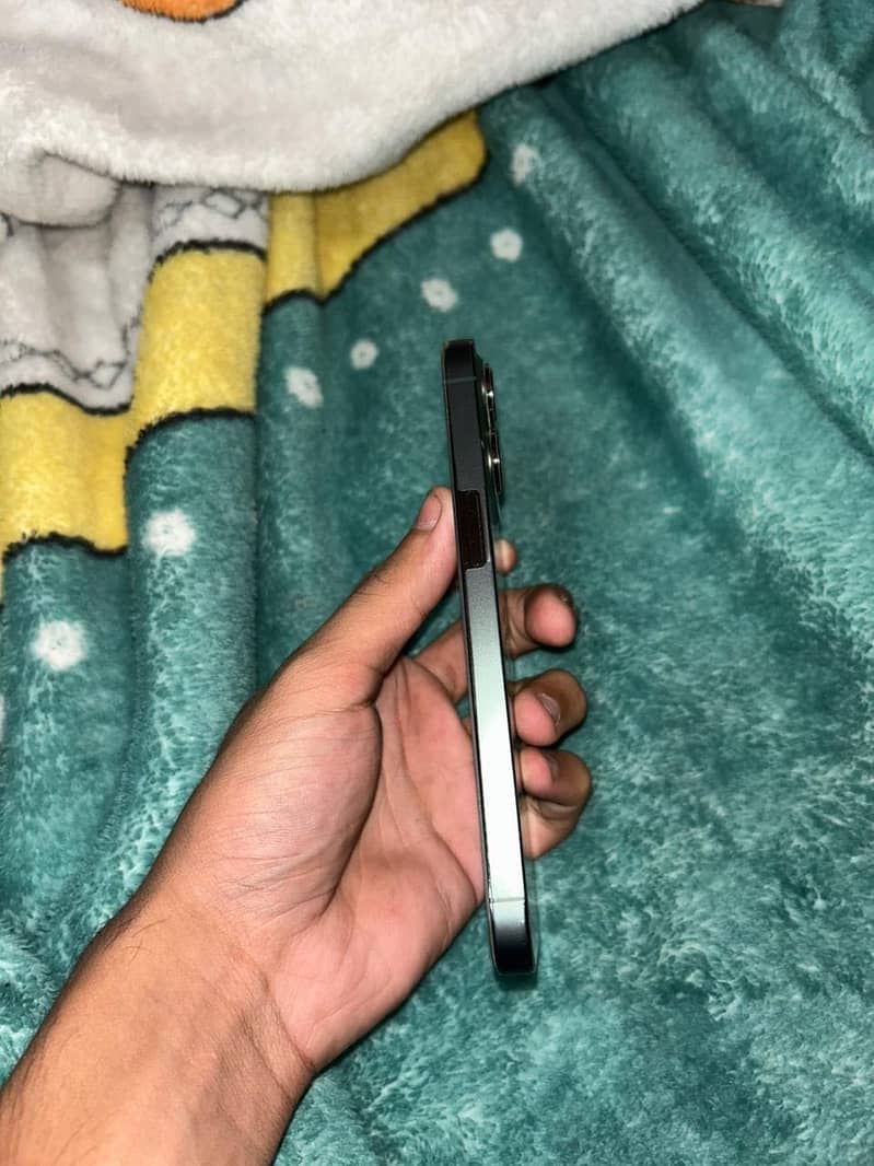 13 pro Pta . . 256gb 1