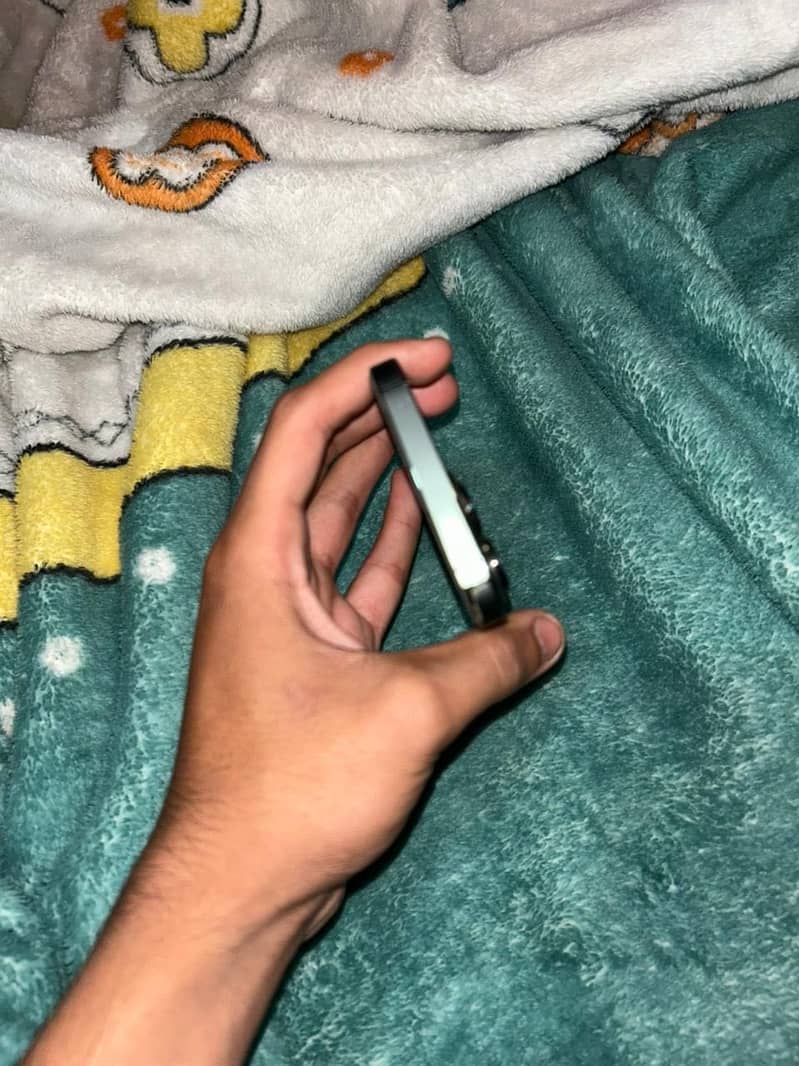 13 pro Pta . . 256gb 3