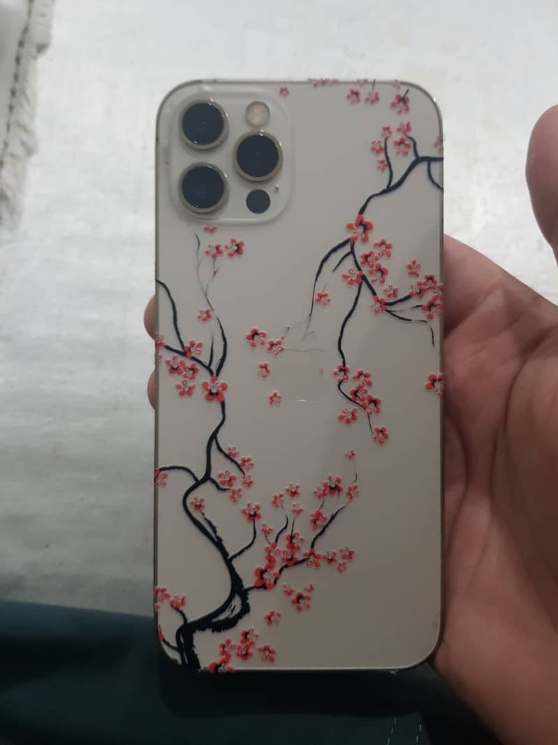 iPhone 12 Pro 3