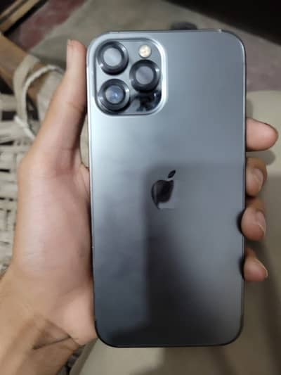 12 pro max