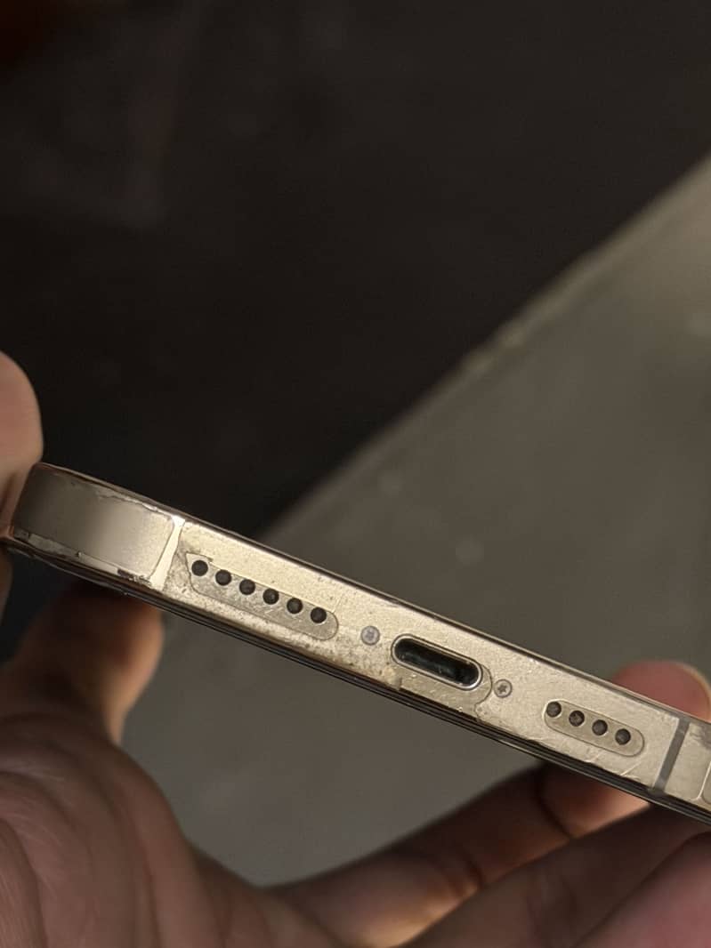 iPhone 13 Pro Max 1