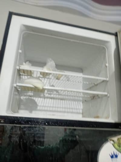 Electrolux Jumbo Size Refrigerator for Sale – Excellent Condition