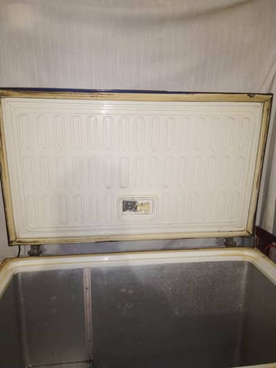 Pepsi Deep freezer