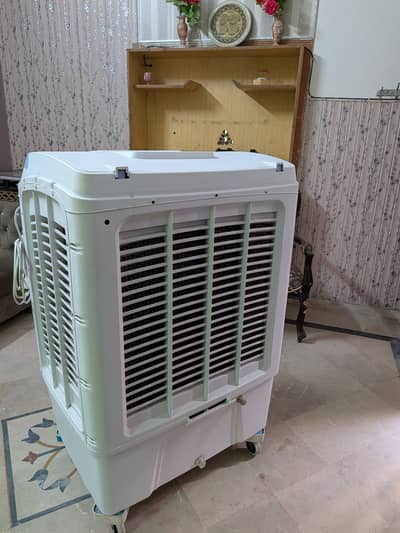 Air color for sale contact number 00393471703992 only what's