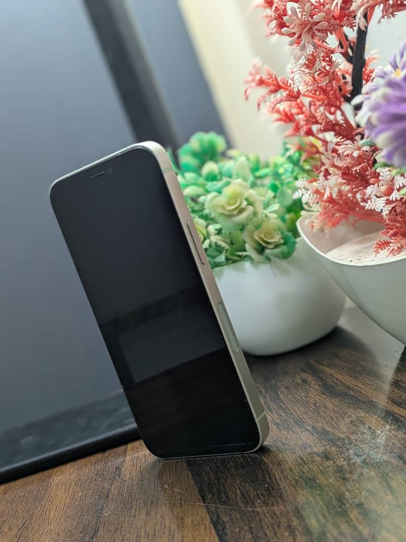 IPHONE 12 MINI 1