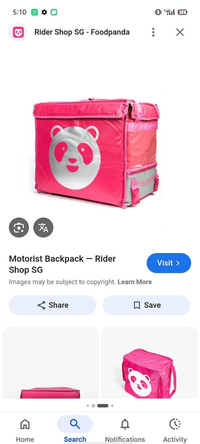 Foodpanda bag