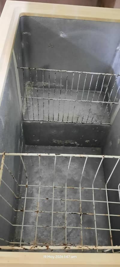 waves freezer