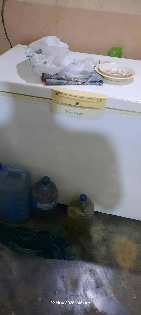 waves freezer 1