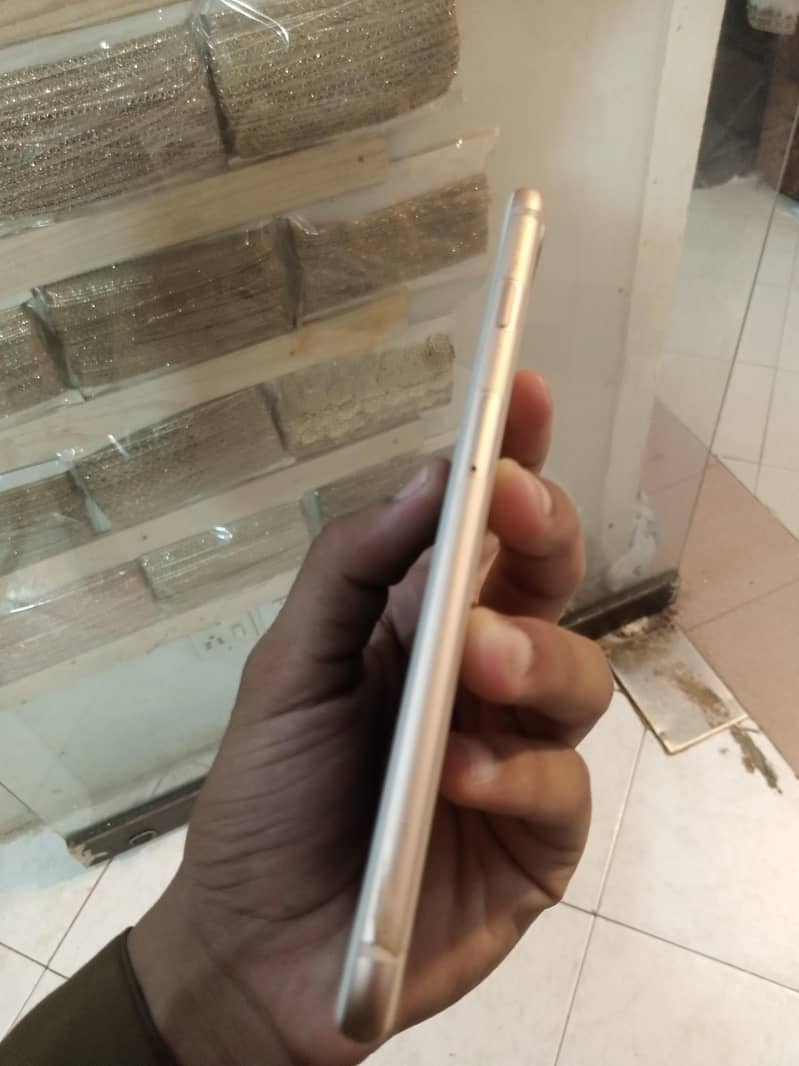 iPhone 5