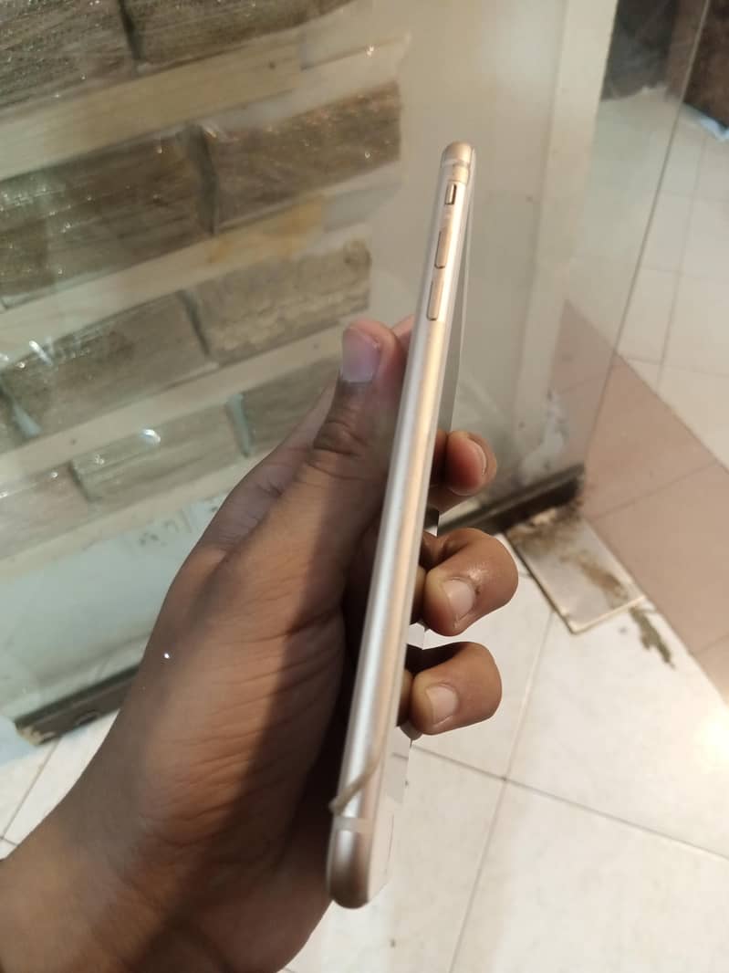 iPhone 6