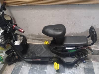 Electric Bike