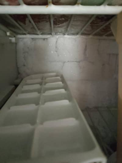 fridge for sale