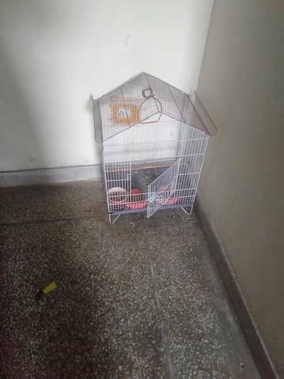 Cage with Parrot for sale