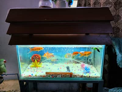 Fish Aquarium for Sale – Complete Setup, Excellent Condition