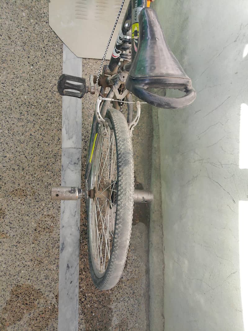 cycle 1