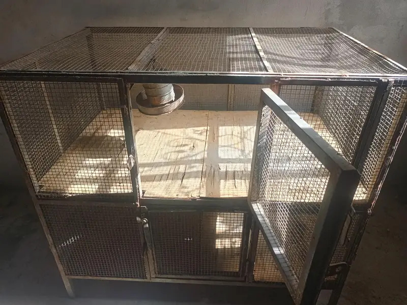 cages — photo 3