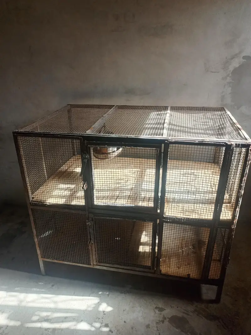 cages — photo 4
