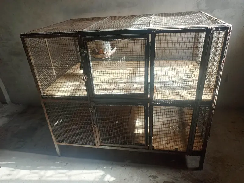 cages — photo 5