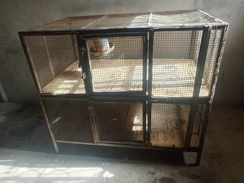 cages 5